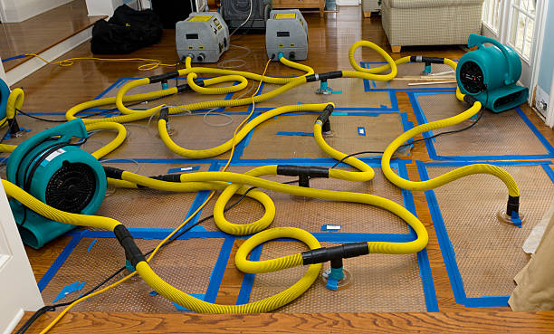 Professional Crawl Space Water Removal technician working in Green Bay, WI